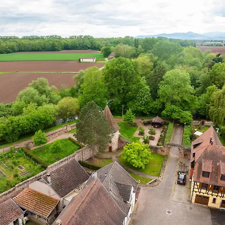 Ferienhaus La Ruine Alsace Jacuzzi Billard 10 Personnes