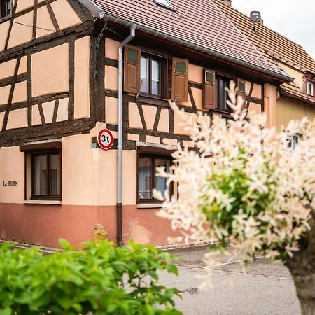 La Ruine - D'alsace Jusqu'a 10 Personnes Avec Interieur *