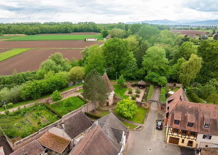 Σπίτι διακοπών La Ruine Alsace Jacuzzi Billard 10 Personnes
