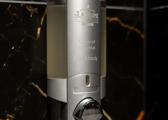 Σπίτι διακοπών La Ruine Alsace Jacuzzi Billard 10 Personnes Guémar