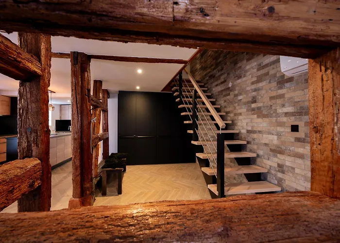 La Ruine Alsace Jacuzzi Billard 10 Personnes *