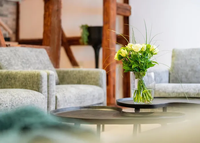 La Ruine Alsace Jacuzzi Billard 10 Personnes * Guémar