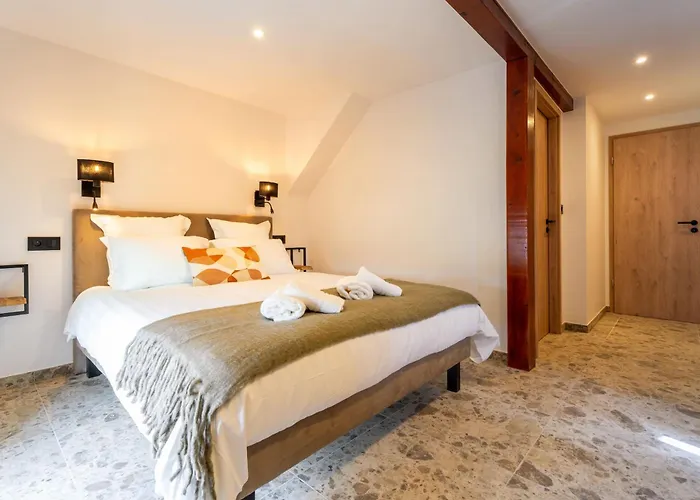 La Ruine Alsace Jacuzzi Billard 10 Personnes 別荘 Guémar