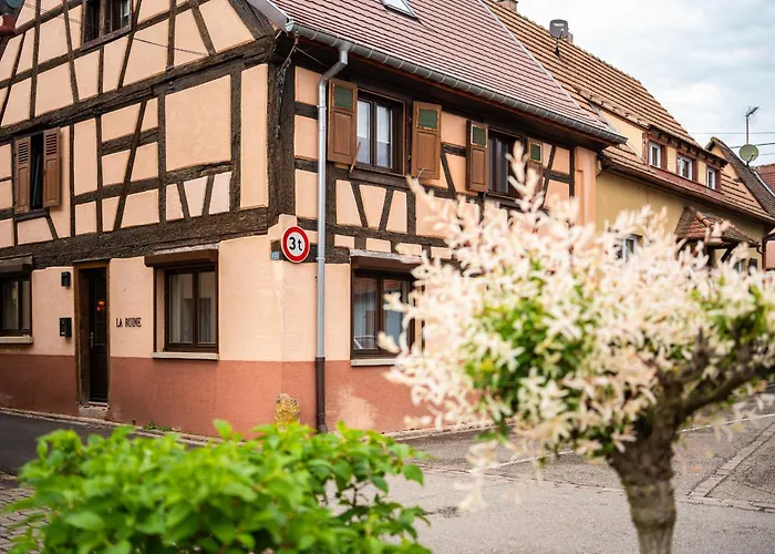 La Ruine Alsace Jacuzzi Billard 10 Personnes *